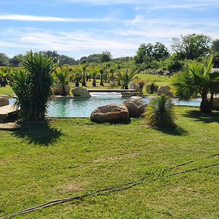 Le Mas Des Cerisiers Jacuzzi Et Sauna Inclus Pour Tous Les Logements Avignon Eksteriør billede