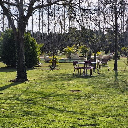 Le Mas Des Cerisiers Jacuzzi Et Sauna Inclus Pour Tous Les Logements Avignon Eksteriør billede