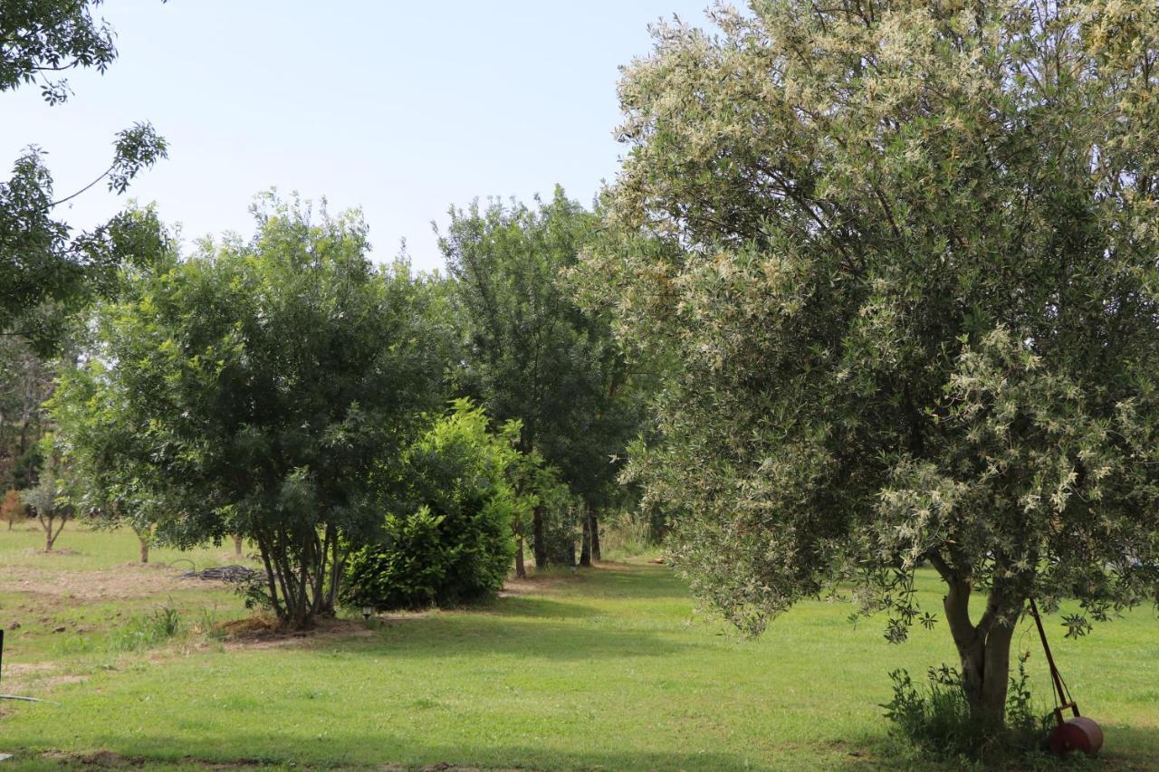 Mas Des Cerisiers Spa-Sauna Inclus Pour Tous Les Logements Avignon Eksteriør billede