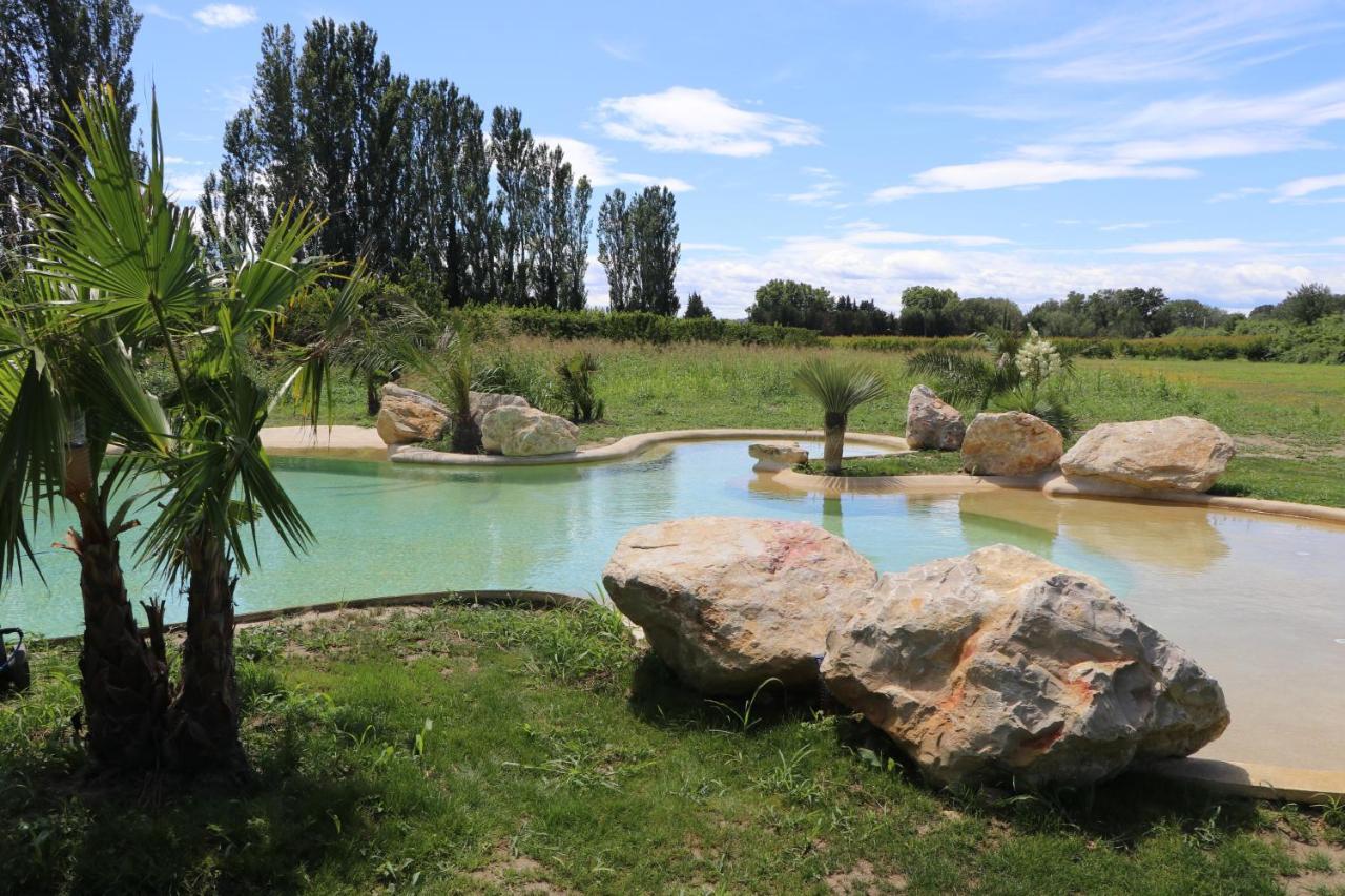 Le Mas Des Cerisiers Jacuzzi Et Sauna Inclus Pour Tous Les Logements Avignon Eksteriør billede