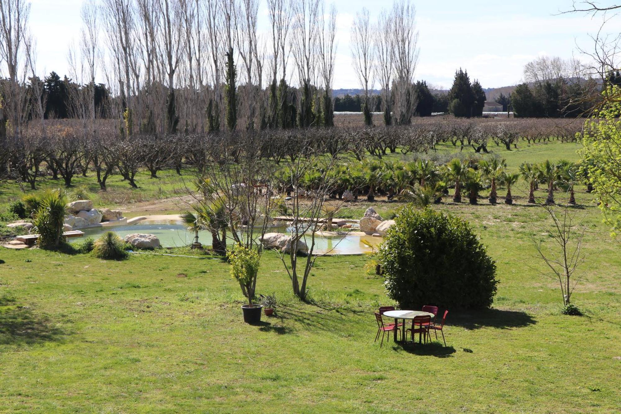 Le Mas Des Cerisiers Jacuzzi Et Sauna Inclus Pour Tous Les Logements Avignon Eksteriør billede