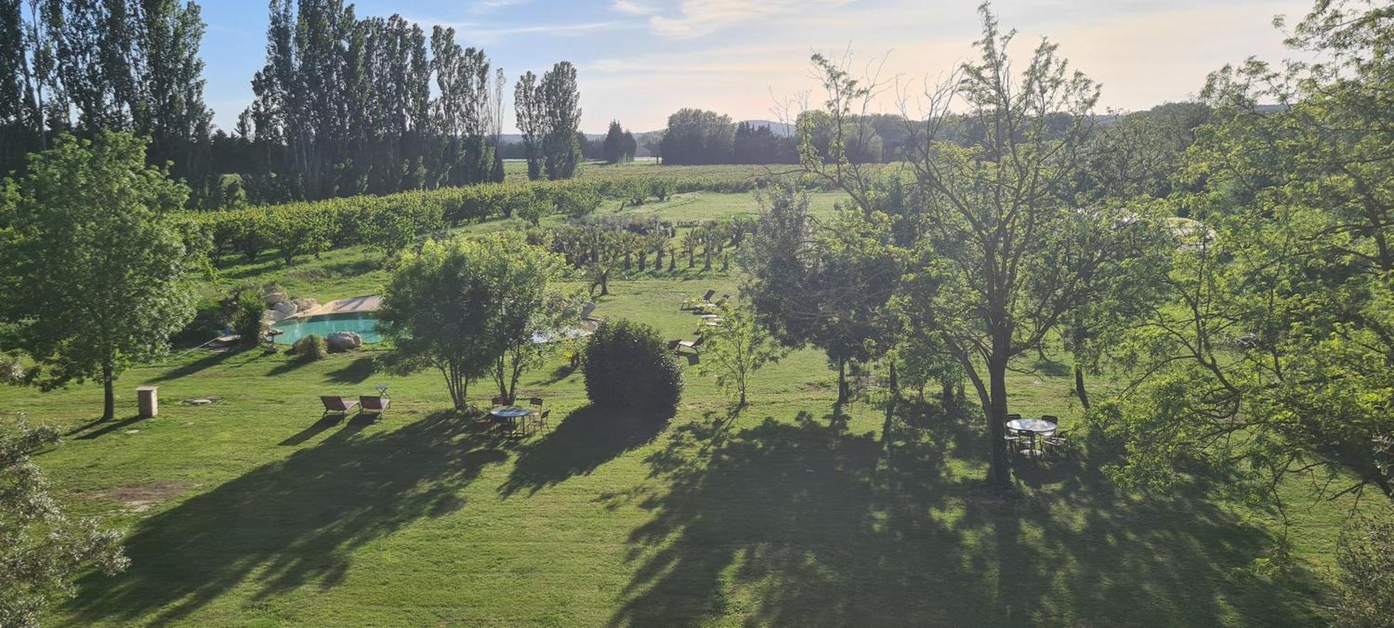 Le Mas Des Cerisiers Jacuzzi Et Sauna Inclus Pour Tous Les Logements Avignon Eksteriør billede