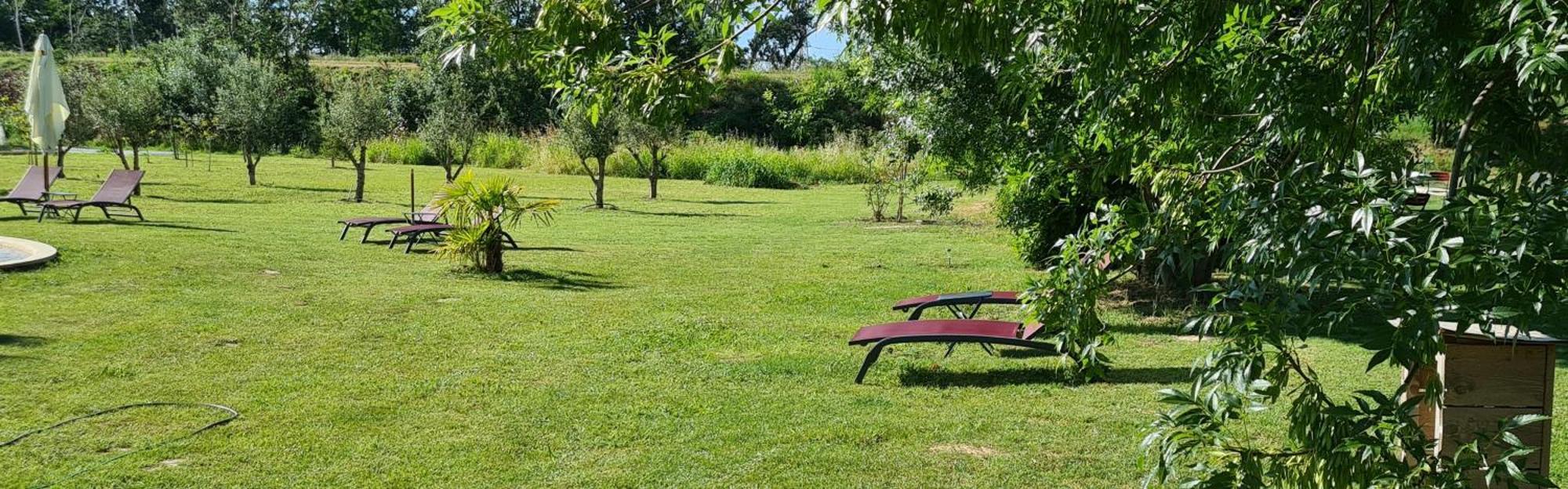 Le Mas Des Cerisiers Jacuzzi Et Sauna Inclus Pour Tous Les Logements Avignon Eksteriør billede